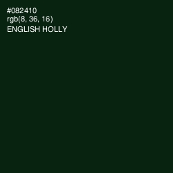 #082410 - English Holly Color Image